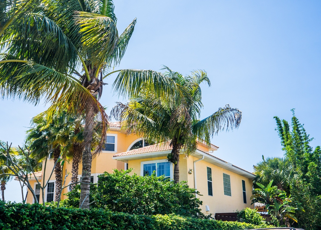 a palm tree in front of a house